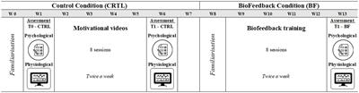 Self-regulation training improves stress resilience in elite pre-pubescent female gymnasts